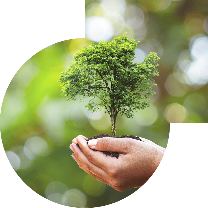 關懷人類、文化、環境與社會